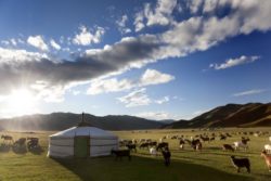 Unikke seværdigheder i Mongoliet
