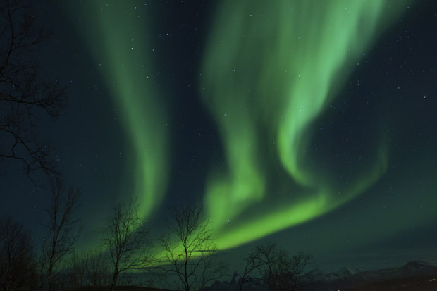 Nordlys - Finland